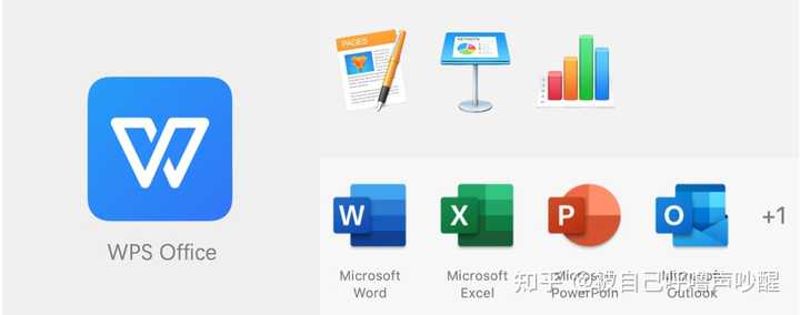Mac 用 WPS 还是 Office